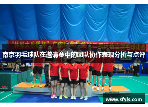 南京羽毛球队在邀请赛中的团队协作表现分析与点评