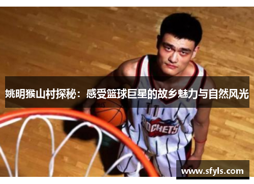 姚明猴山村探秘：感受篮球巨星的故乡魅力与自然风光