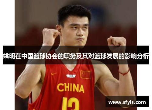 姚明在中国篮球协会的职务及其对篮球发展的影响分析