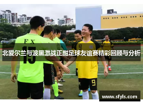 北爱尔兰与波黑激战正酣足球友谊赛精彩回顾与分析